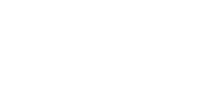 Zebra logo 2